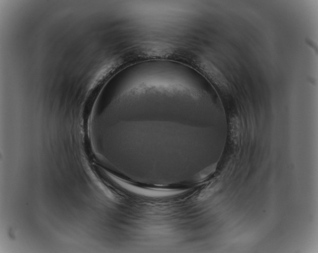 X0000097780634200803071350