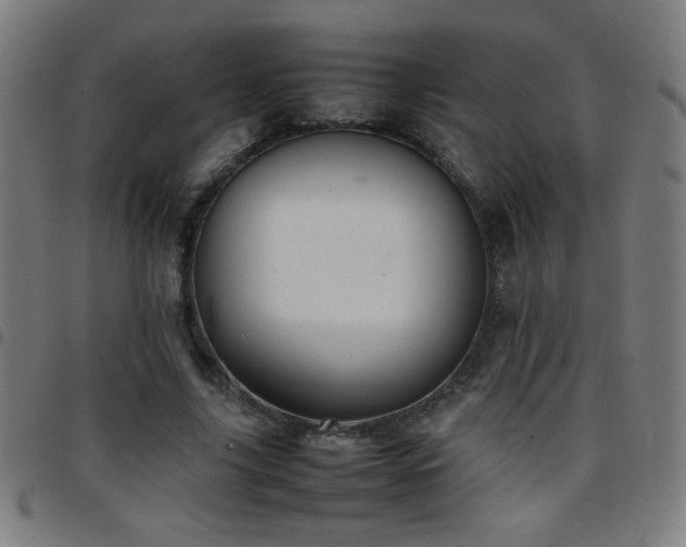 X0000097780635200803071350