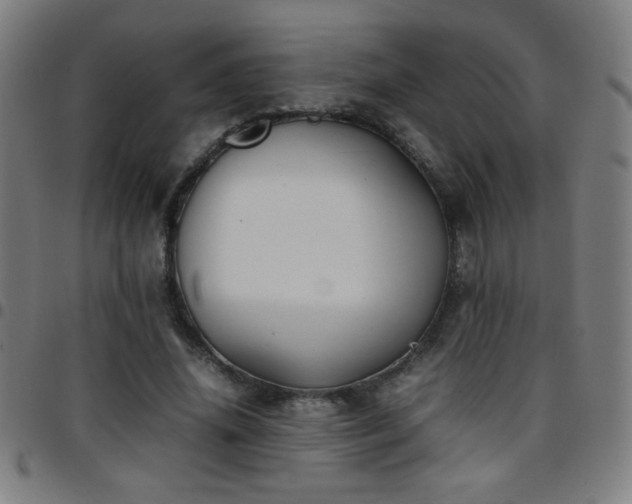 X0000097780636200803071350