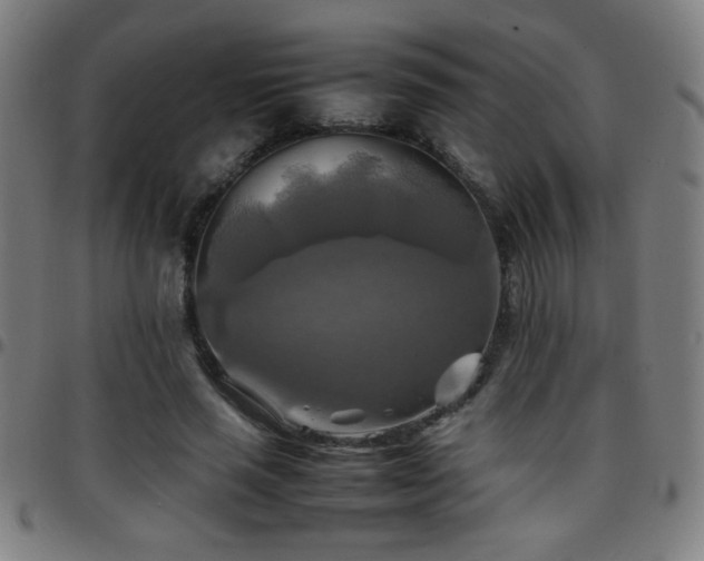 X0000097780637200803071350