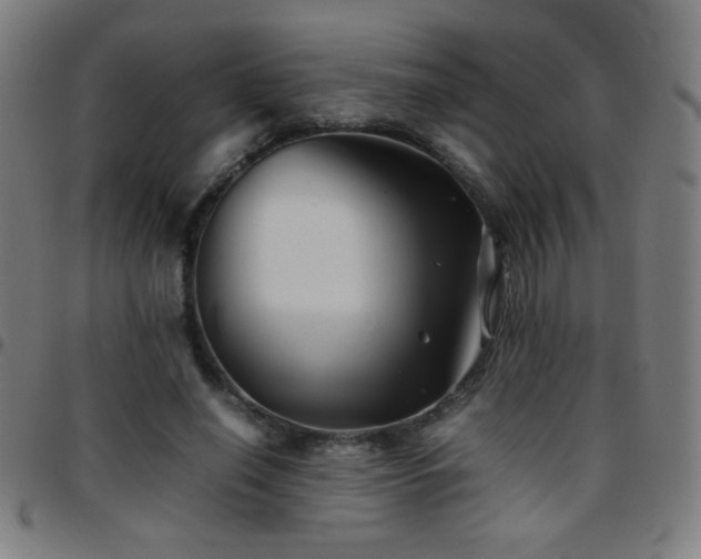 X0000097780638200803071350