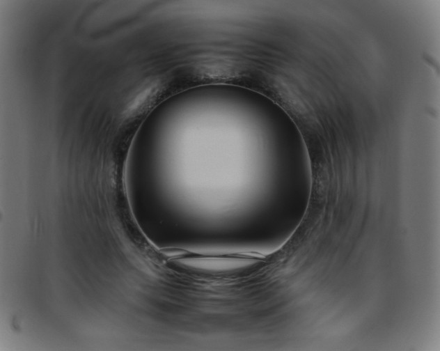 X0000097780639200803071350