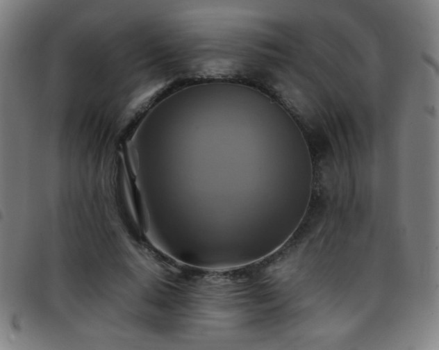 X0000097780640200803071350