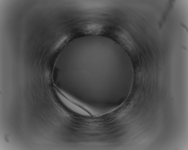 X0000097780641200803071350