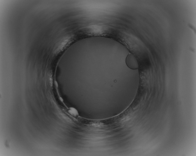 X0000097780642200803071350