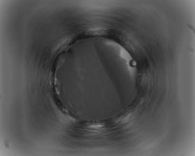 X0000097780643200803071350