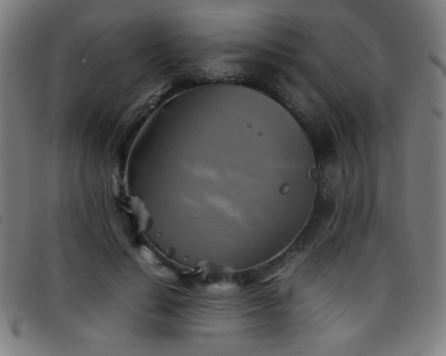 X0000097780644200803071350