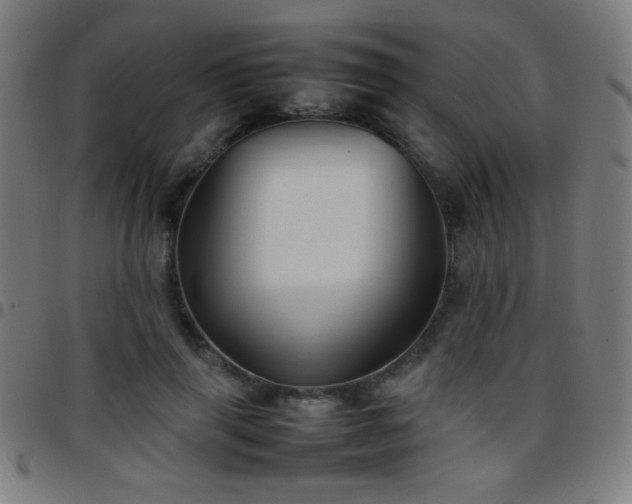 X0000097780645200803071350
