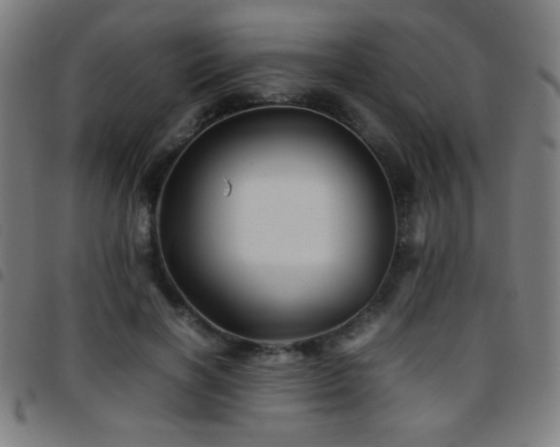 X0000097780646200803071350