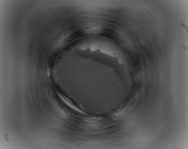 X0000097780647200803071350