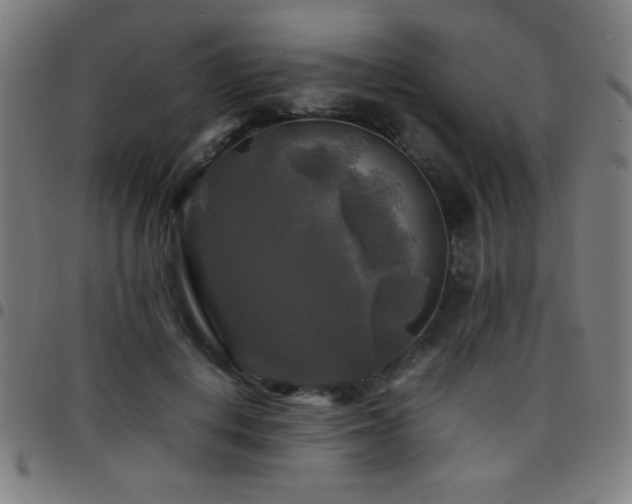 X0000097780648200803071350