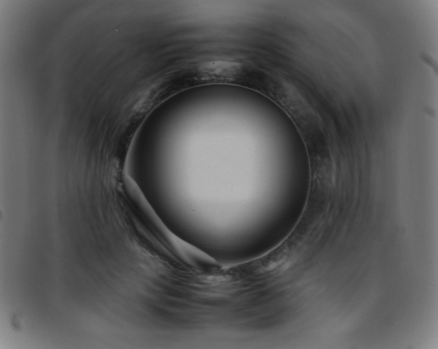X0000097780649200803071350