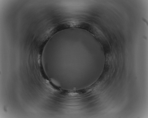 X0000097780650200803071350