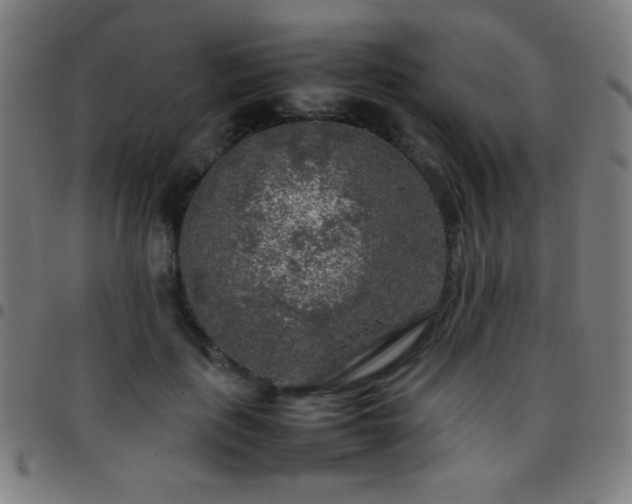 X0000097780651200803071350
