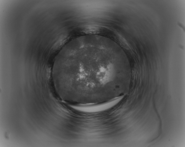X0000097780652200803071350