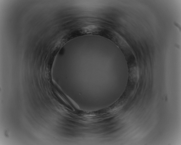X0000097780653200803071350