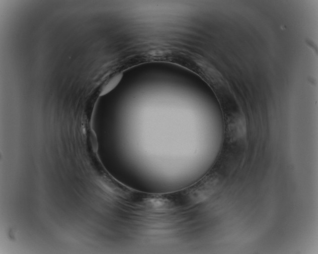 X0000097780654200803071350