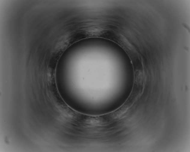 X0000097780655200803071350