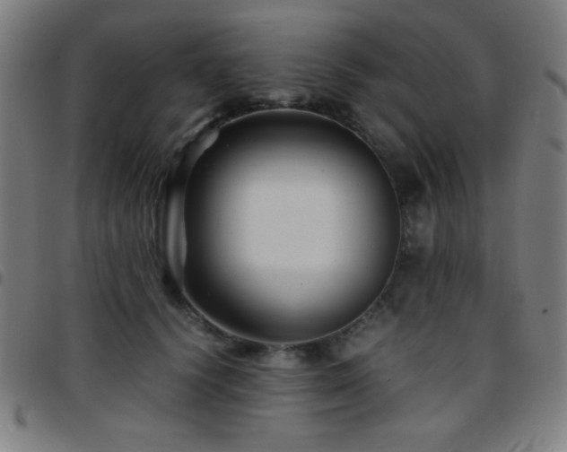 X0000097780656200803071350