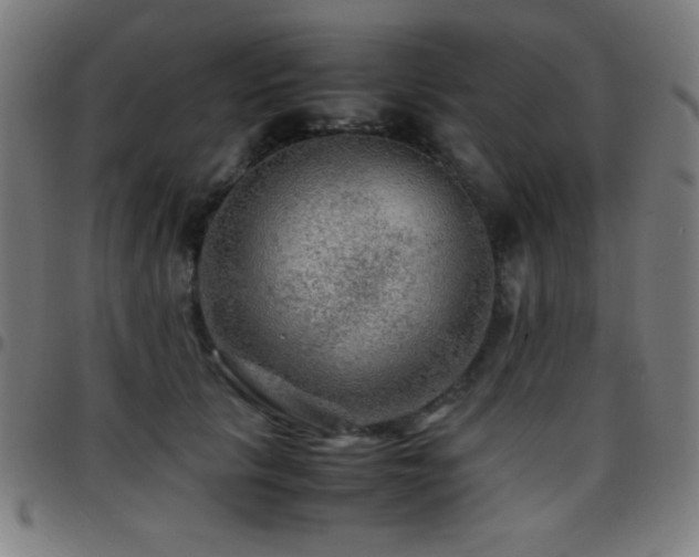 X0000097780657200803071350