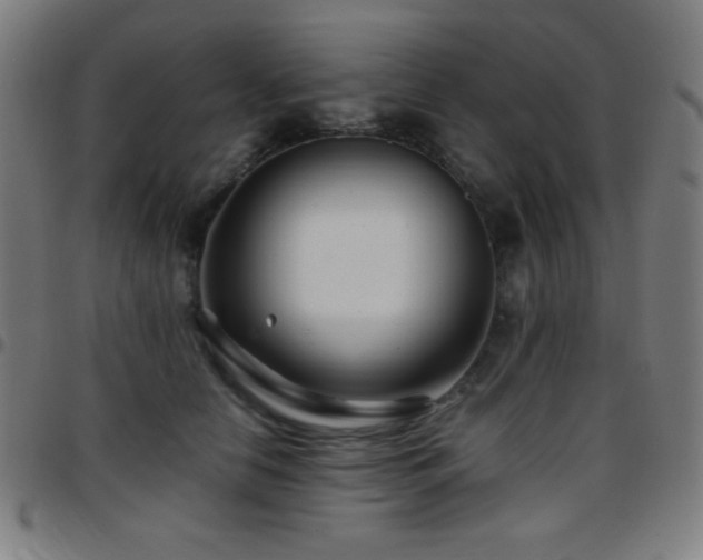 X0000097780658200803071350