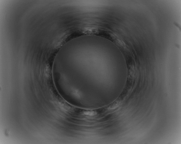 X0000097780659200803071350
