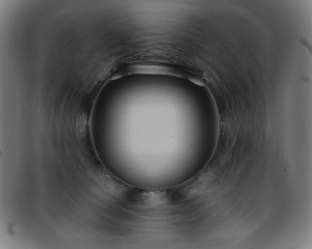 X0000097780660200803071350