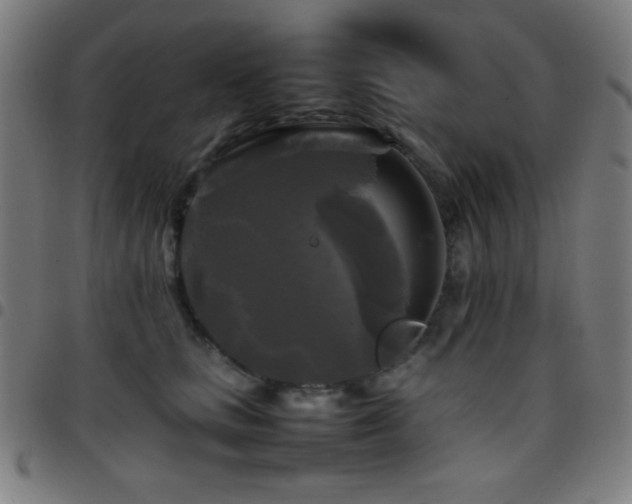 X0000097780661200803071350