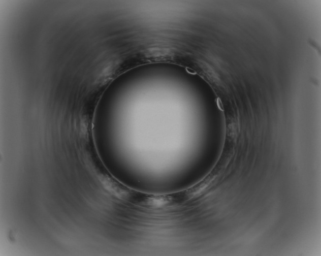 X0000097780662200803071350