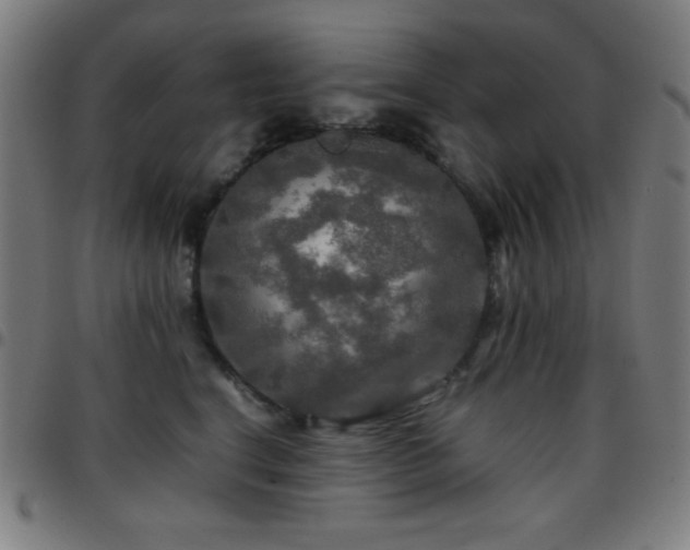 X0000097780664200803071350
