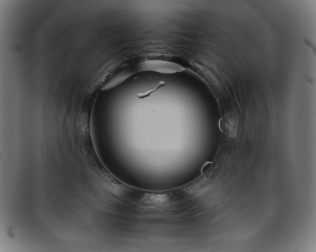 X0000097780665200803071350