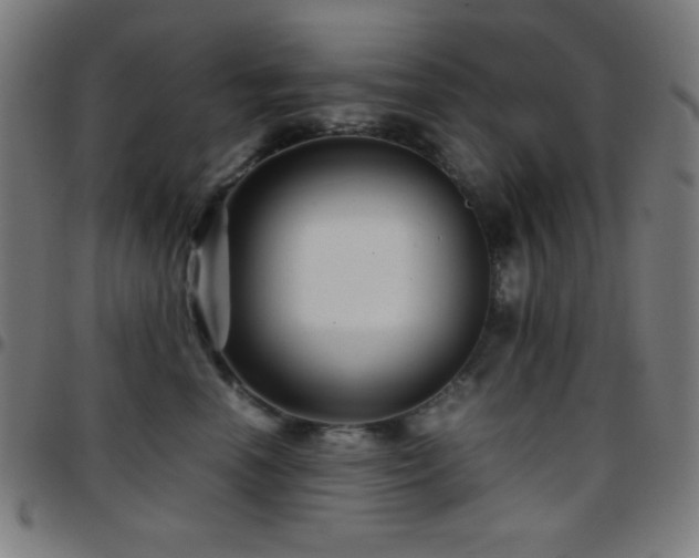 X0000097780666200803071350