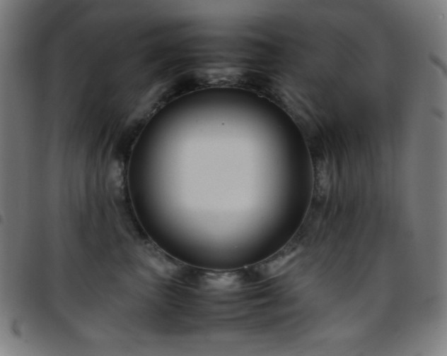 X0000097780667200803071350