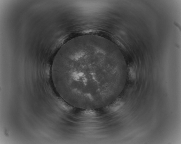 X0000097780668200803071350