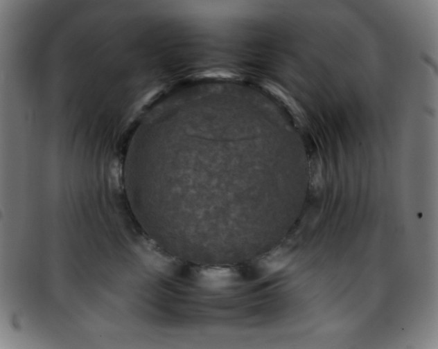 X0000097780669200803071350