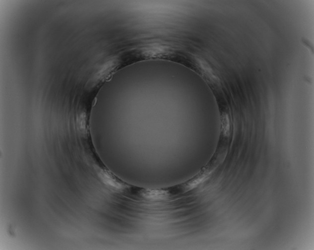 X0000097780670200803071350