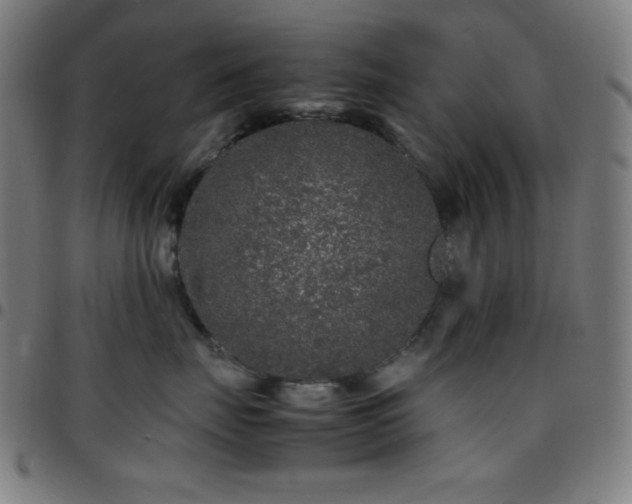 X0000097780671200803071350