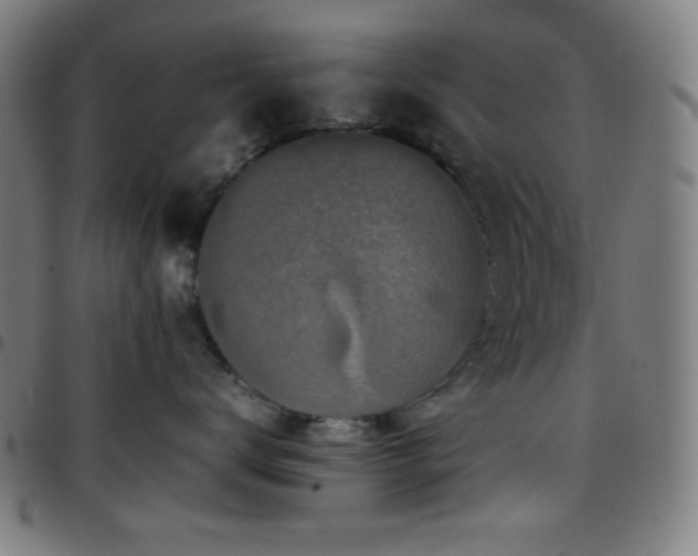 X0000097780672200803071351