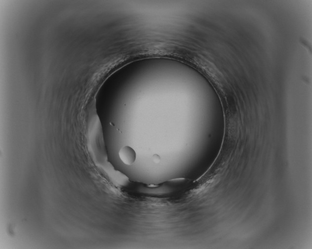 X0000097780673200803071350