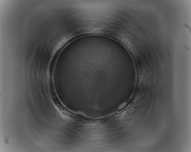 X0000097780674200803071350