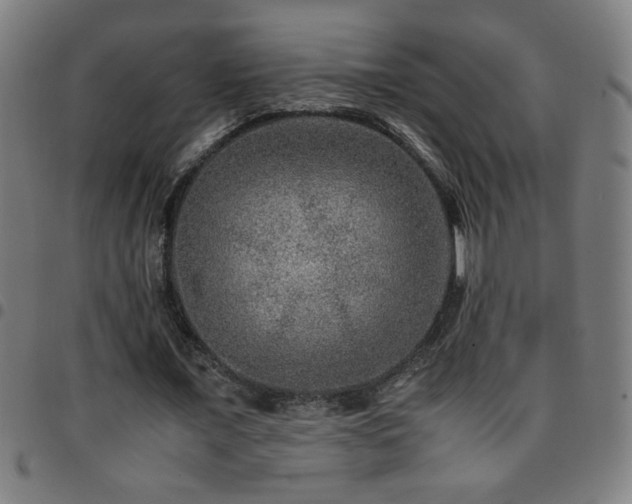 X0000097780675200803071350