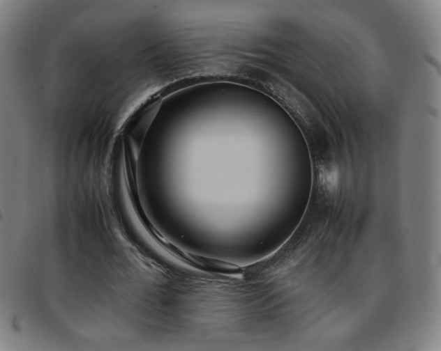 X0000097780676200803071350
