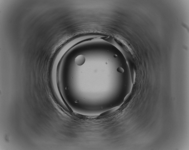 X0000097780677200803071350