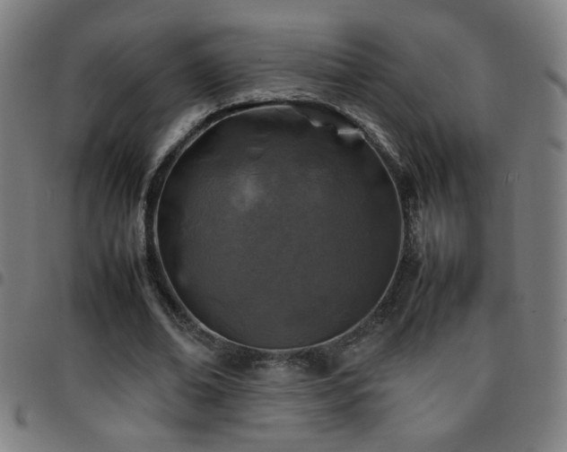 X0000097780678200803071350