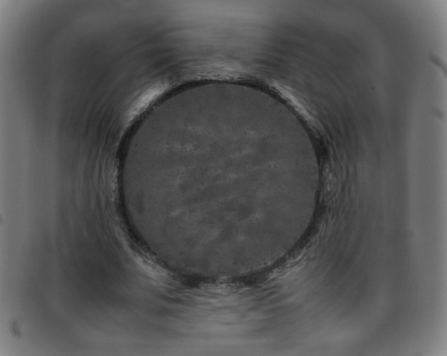 X0000097780679200803071350