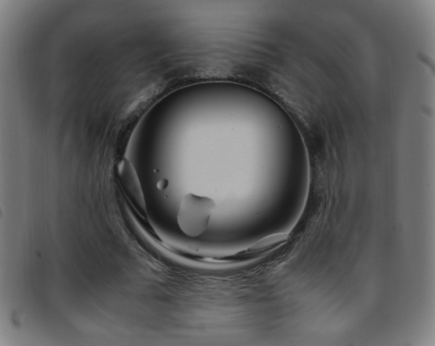 X0000097780681200803071350