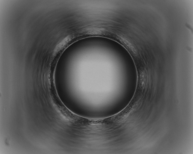 X0000097780682200803071350