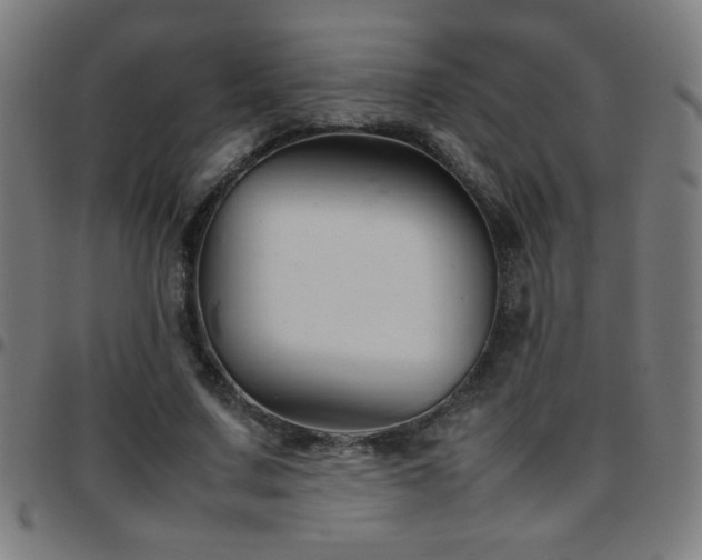 X0000097780683200803071350