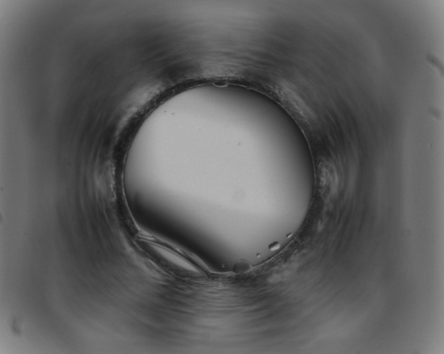 X0000097780684200803071350