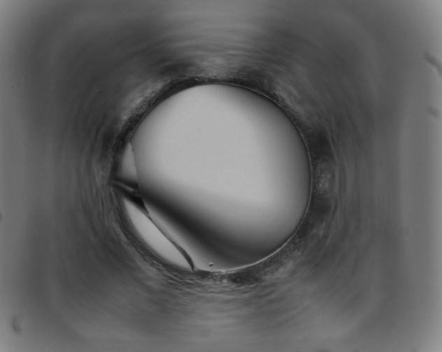 X0000097780685200803071350